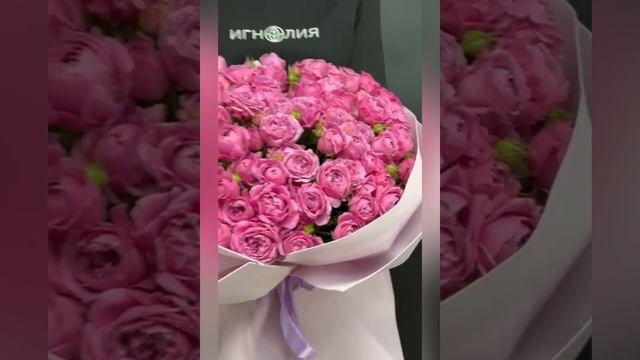 25 розовых пионовидных кустовых роз Мисти Бабблс в букете в светлой упаковке