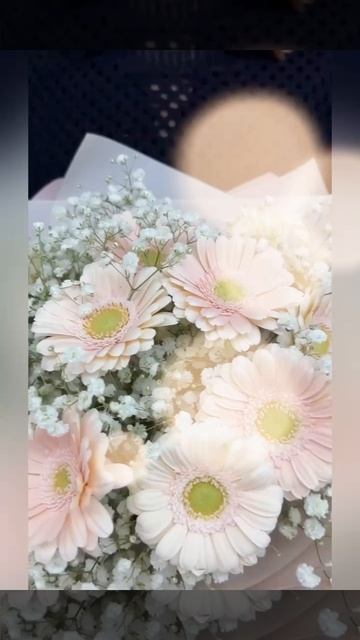 букет из нежно-розовых гербер и белой гипсофилы в розовой упаковке