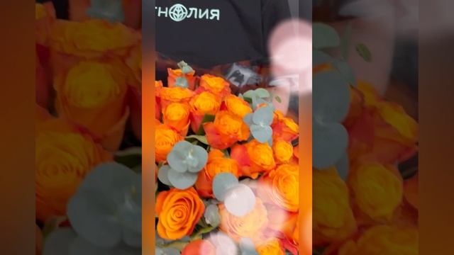 букет из 35 оранжевых роз с эвкалиптом в упаковке